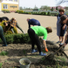 Альбом: Заклади освіти Улашанівської сільської ради долучилися до місячника благоустрою