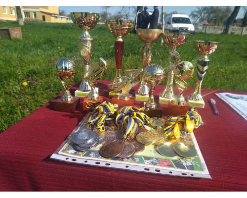 Відкрита першість Дитячо-юнацької спортивної школи Улашанівської сільської ради  з міні-футболу серед дівчат 2010-2012 р.н.